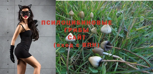 гидропоника Волоколамск