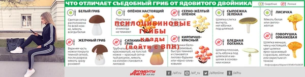 бошки Волосово